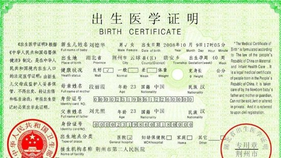 Chinese immigrants essay 06 image